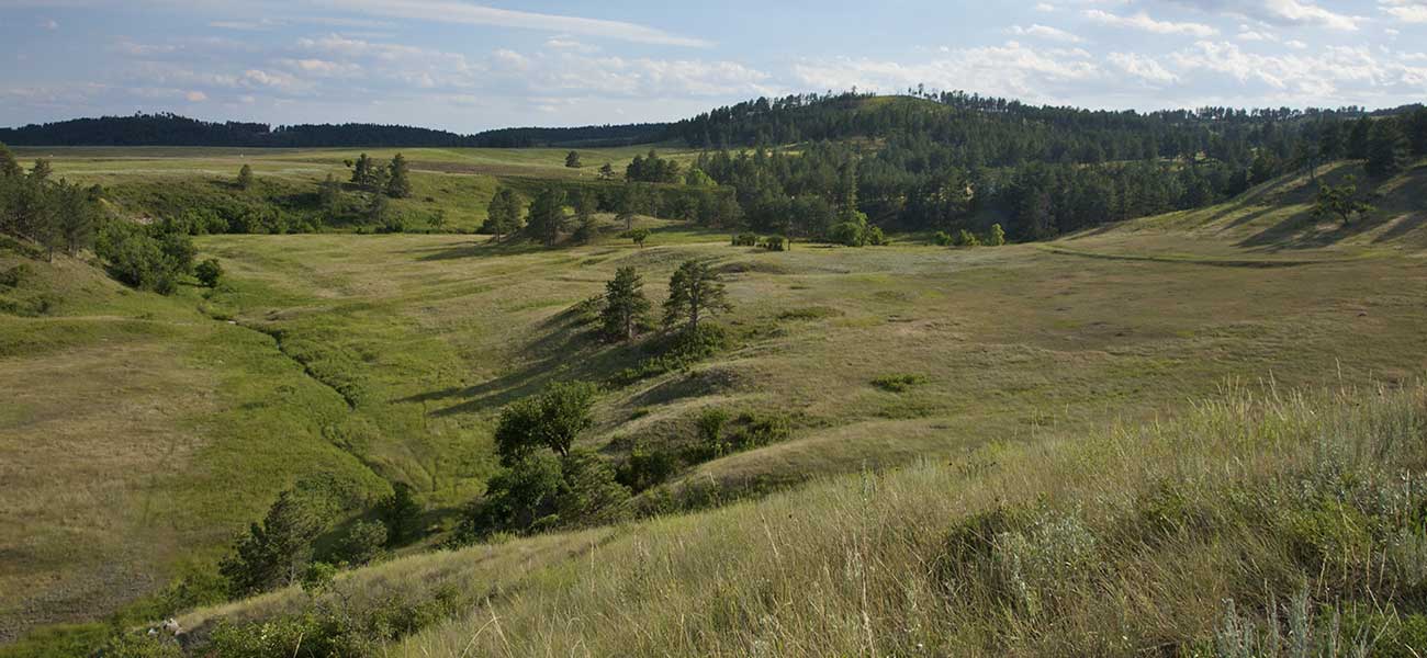 agriculture-banner